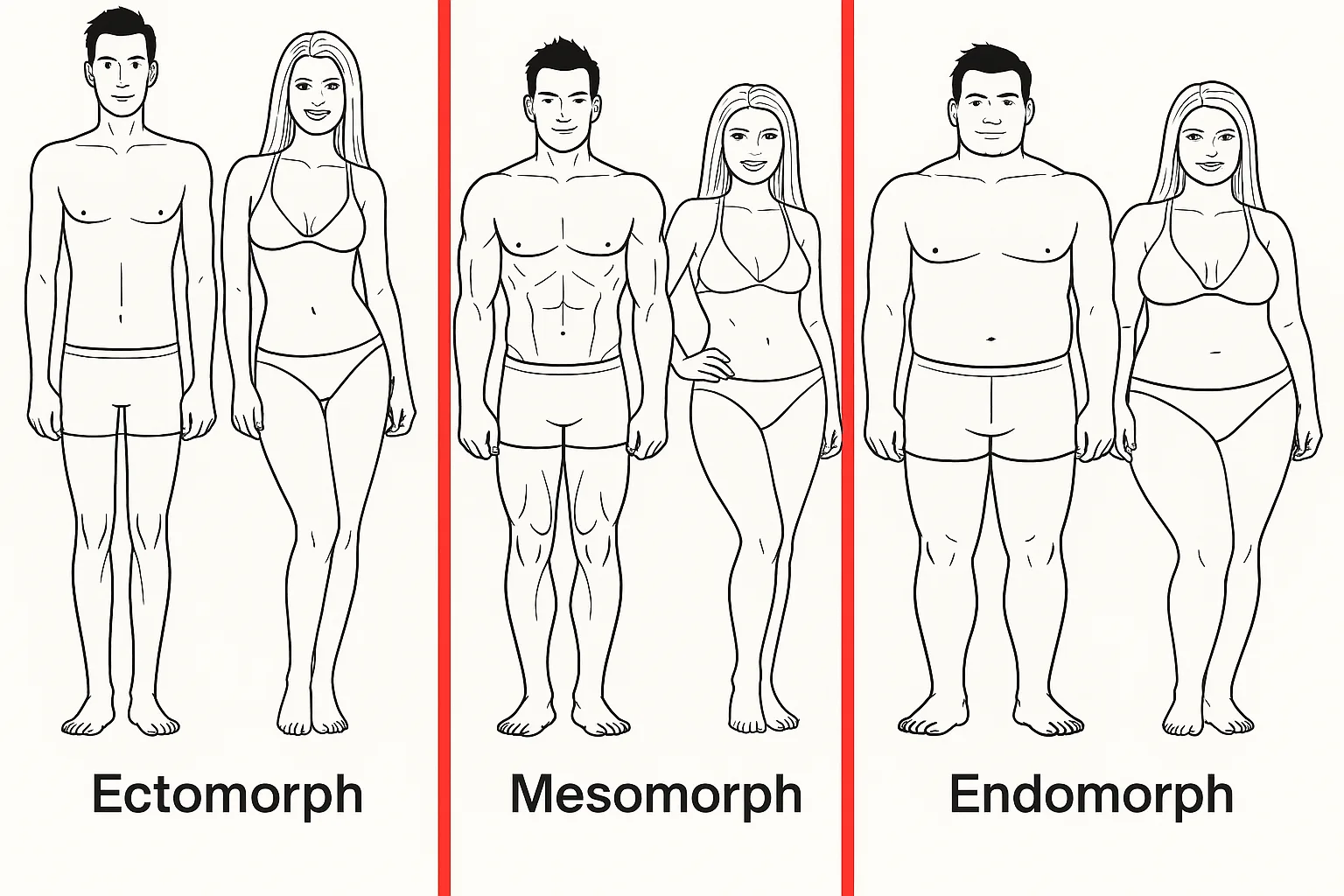 body type